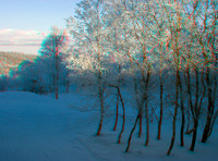 SWEDEN, Abisko_0087VU