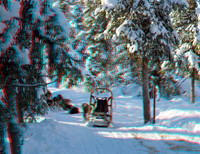 SWEDEN, Dog sledding_0088VU