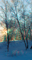 SWEDEN, Abisko_0049VU