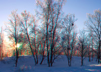 SWEDEN, Abisko_0045VU