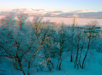 SWEDEN, Abisko_0034VU