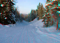 SWEDEN, Dog sledding_0097VU