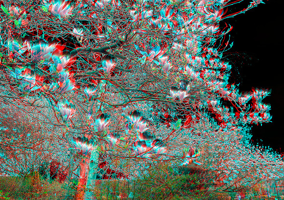 UK, Enfield, Forty Hall_58ana_55c