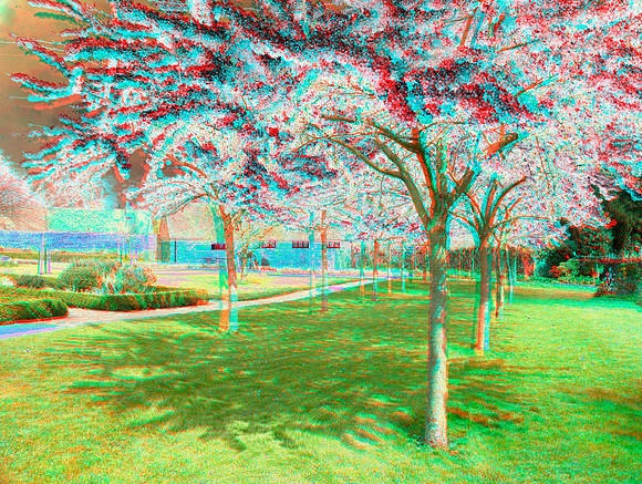 UK, Enfield, Forty Hall_80ana_55c