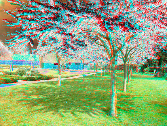 UK, Enfield, Forty Hall_80-2ana_55c