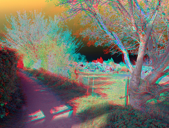 UK, Essex, Thaxted_59anaVU_55c