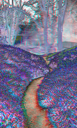 UK, Enfield, Myddleton Hall Gardens_13ana_55ci