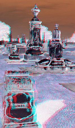 USA, AL, Magnolia Cemetery_110_155bwi