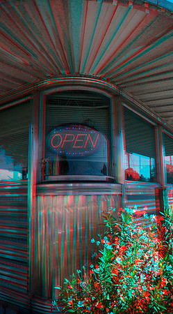 USA, FL, Tampa, Nico's diner_003anaVU