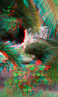 Carthage_0006