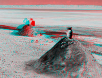 Chott El Jerid_0002_55bw