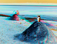 Chott El Jerid_0002_55c
