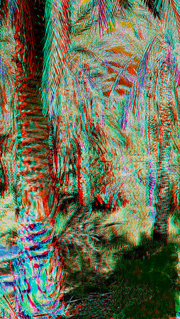 Tozeur, Palmeraie_0003_55c