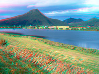 Norway,  Lofotens, Vestergoya misc_015anaVU