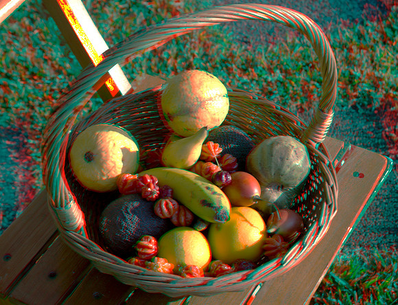 Portugal, Madeira, garden fruit view fr Casa do Papagaio Verde_003anaVU