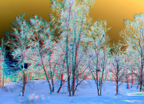 SWEDEN, Abisko_0045_55c