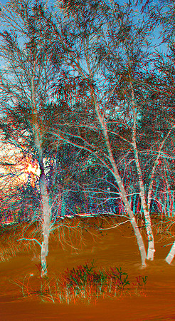 SWEDEN, Abisko_0049_55ci