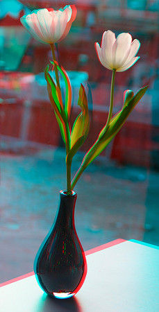 NETHERLANDS, Amsterdam misc_041ana_VU