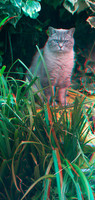 Teddy3_002anaVU