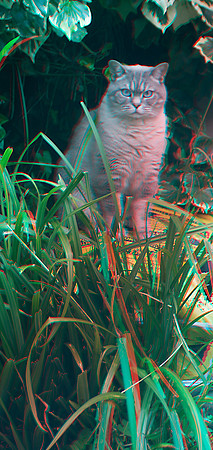 Teddy3_002anaVU
