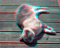 Teddy1_001anaVU