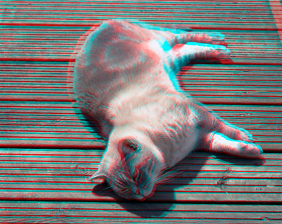 Teddy1_001anaVU