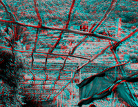 ITALY, Amalfi, lemon grove (118)_bw
