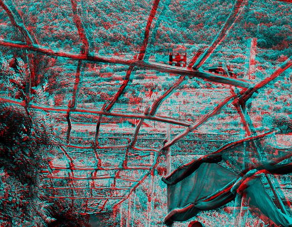 ITALY, Amalfi, lemon grove (118)_bw