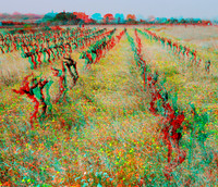 FRANCE, Vers_0015anaVU