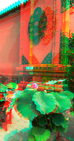 CHINA, Beijing, Forbidden City_0025
