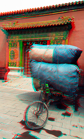 CHINA, Beijing, Forbidden City_0046