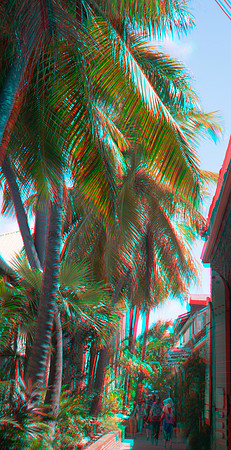USVI, St Thomas, Charlotte Amalie_030anaVU