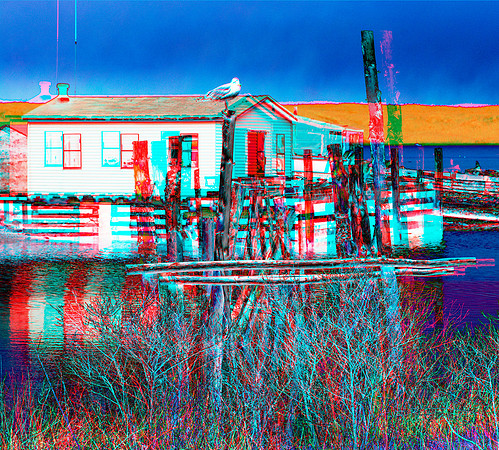 CANADA, NS, Gabarus_0010_55ci