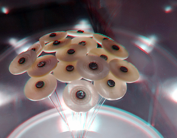 Austria, Salzburg, Mozart Geburthaus, M's mother of pearl buttons_0003ana