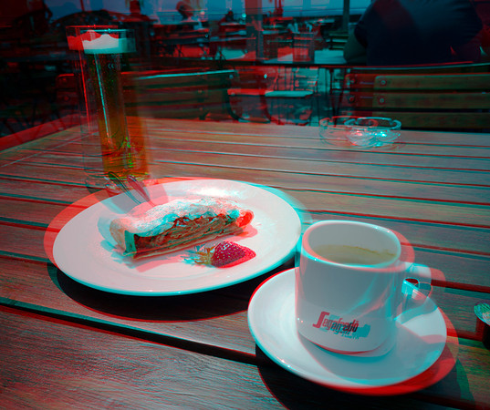 Austria, Salzburg,  Festung Hohensalzburg, Panorama cafe, apple strudel_0013ana