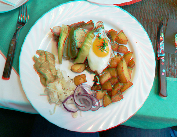 Austria, Vienna, Holzhackschnitzel_0006ana