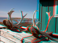 GREENLAND, Ilimanaq_16anaVU