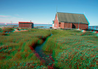 GREENLAND, Ilimanaq_12anaVU